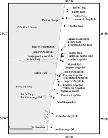 A map showing the hotspot of non-native marine fishes off the southeast coast of Florida that was reported by Semmens et al.  The sightings are the result of REEF's volunteer monitoring program. Click on image for a larger view.